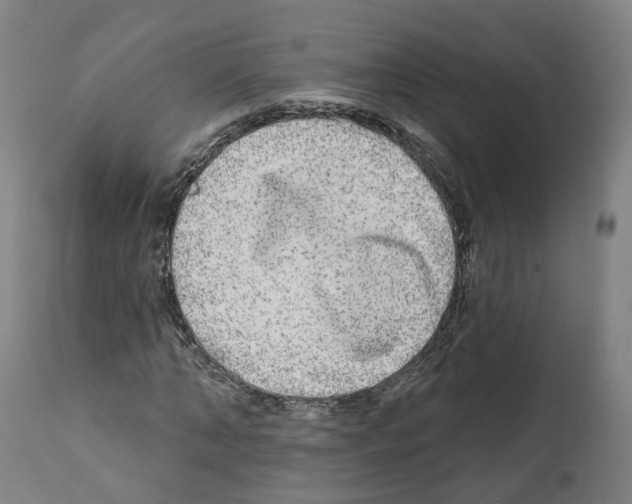 X0000112360870200909241123