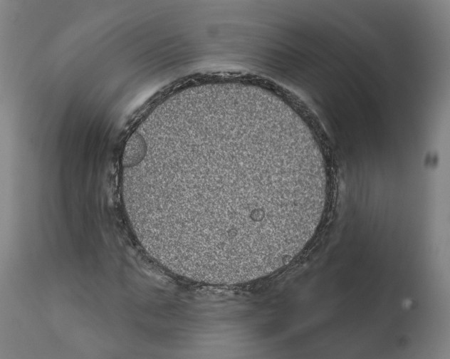X0000112360871200909241123