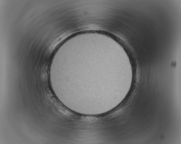 X0000112360873200909241123