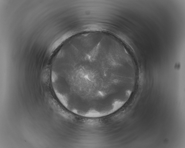 X0000112360874200909241123