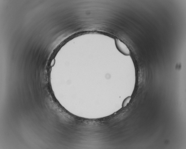 X0000112360876200909241123