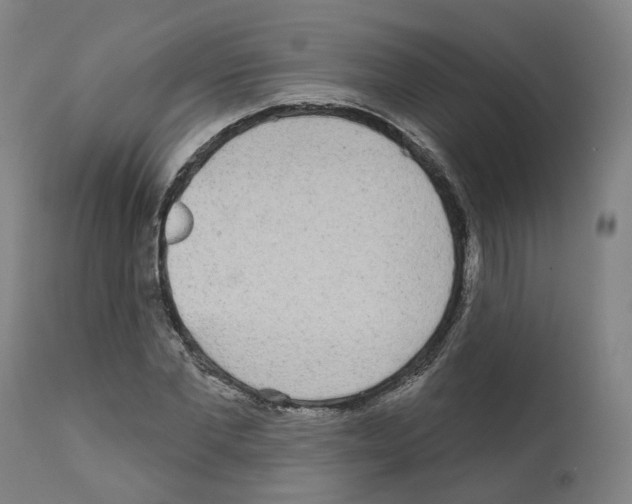 X0000112360877200909241123