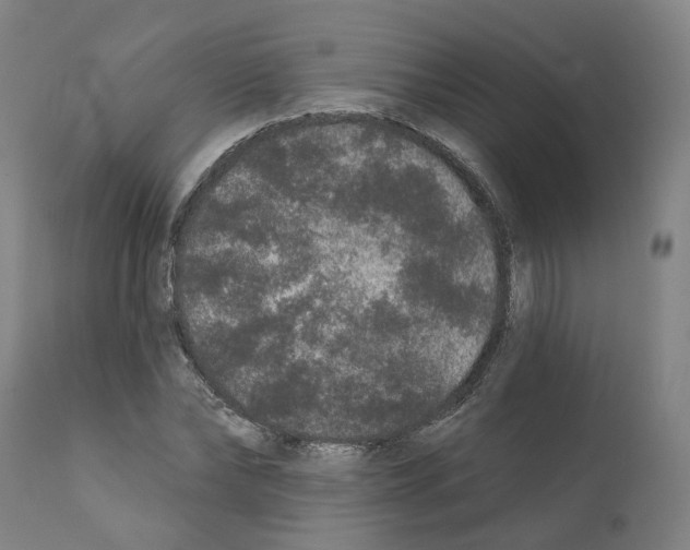X0000112360878200909241123