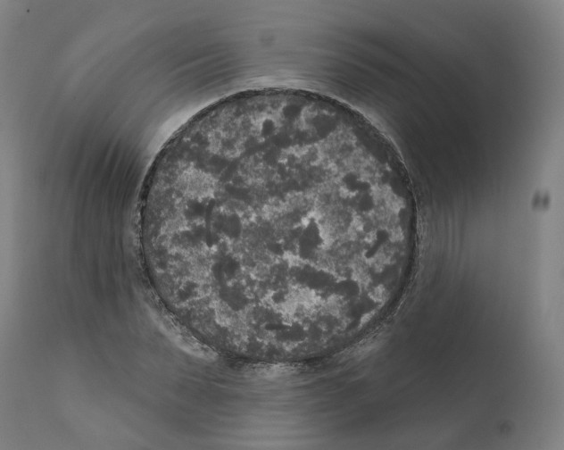 X0000112360879200909241123