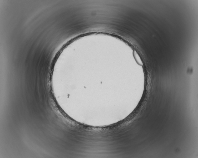 X0000112360880200909241123
