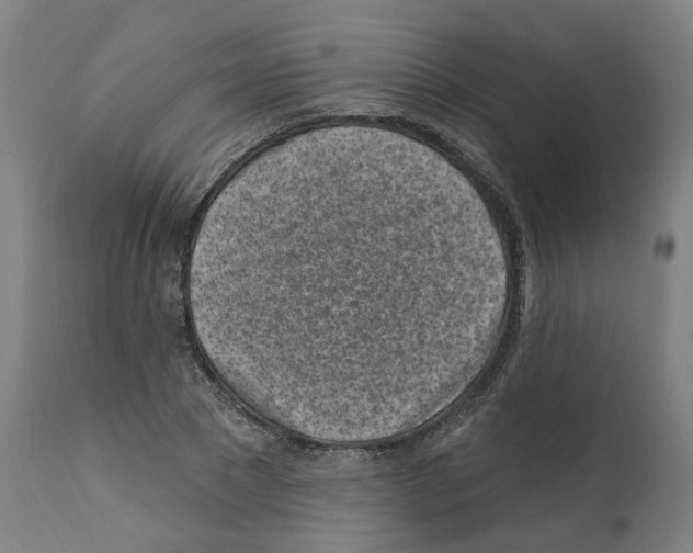 X0000112360881200909241123