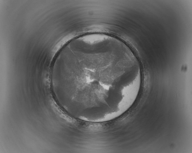 X0000112360882200909241123