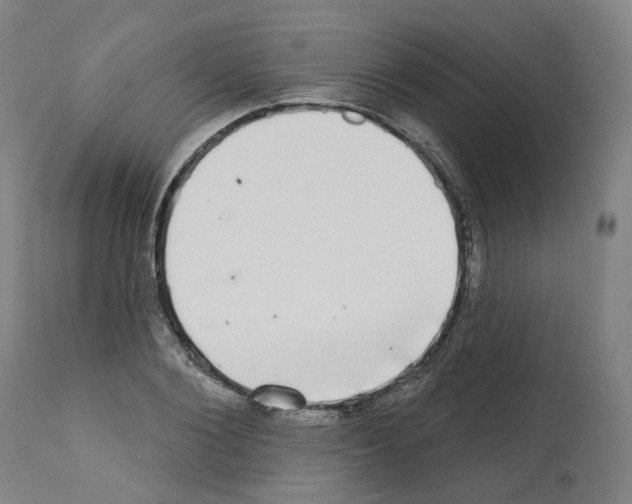 X0000112360884200909241123