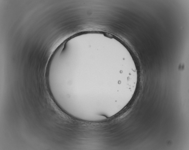 X0000112360885200909241123