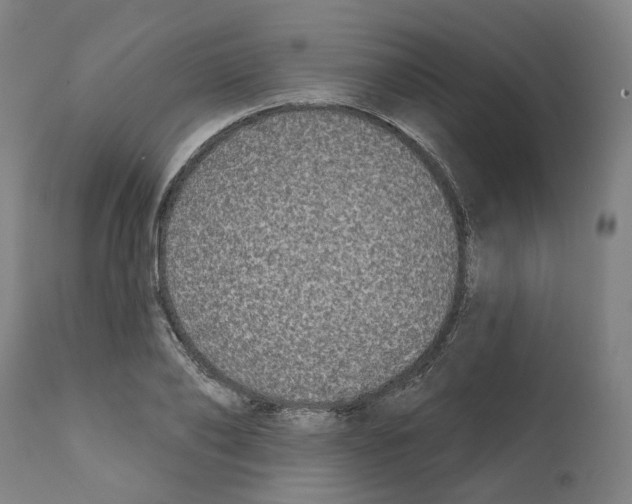 X0000112360886200909241123