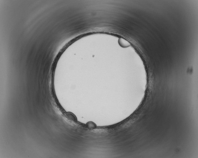 X0000112360888200909241123