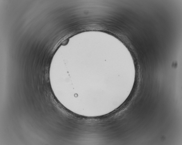 X0000112360889200909241123