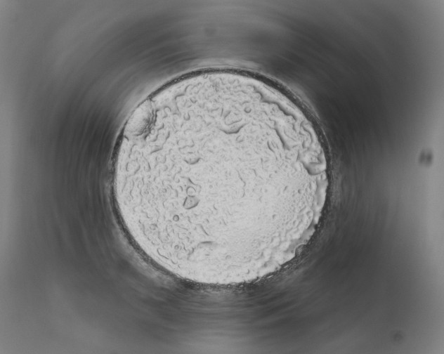 X0000112360895200909241123