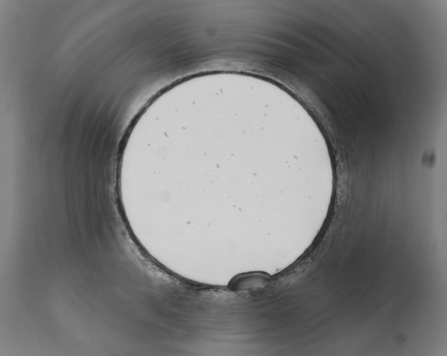 X0000112360896200909241123