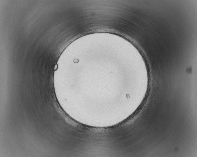 X0000112360897200909241123