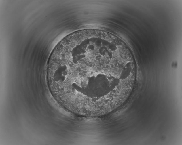 X0000112360899200909241123