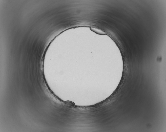 X0000112360900200909241123
