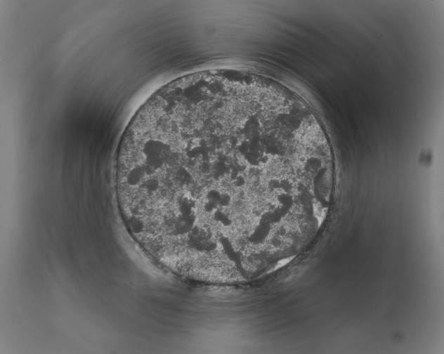 X0000112360907200909241123