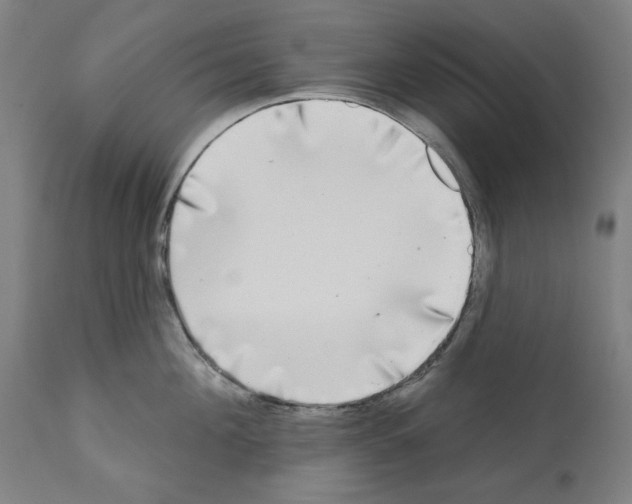 X0000112360908200909241123