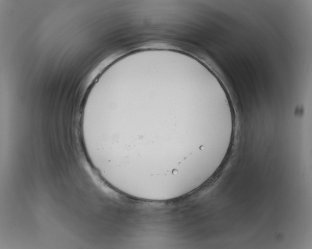 X0000112360909200909241123