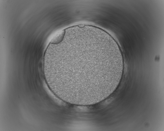 X0000112360911200909241123