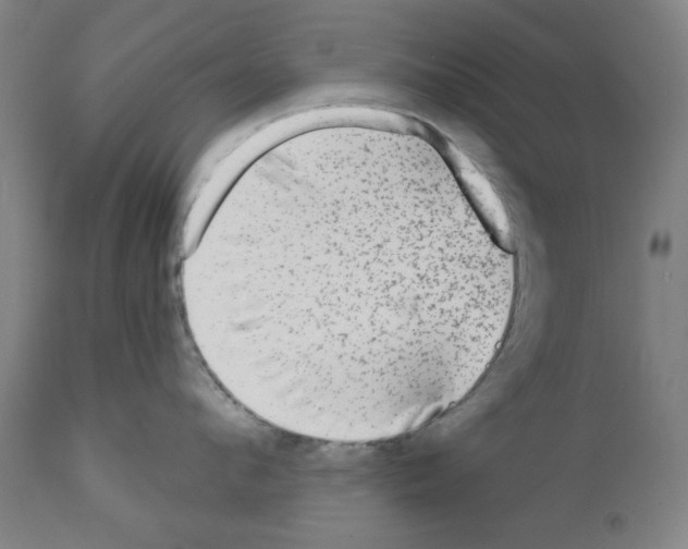 X0000112360912200909241123