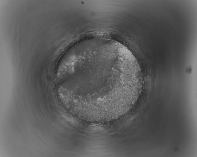 X0000112360913200909241122