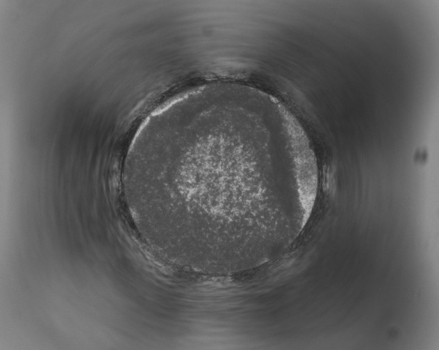X0000112360915200909241122