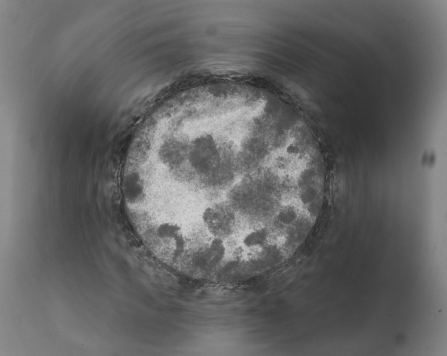 X0000112360917200909241122