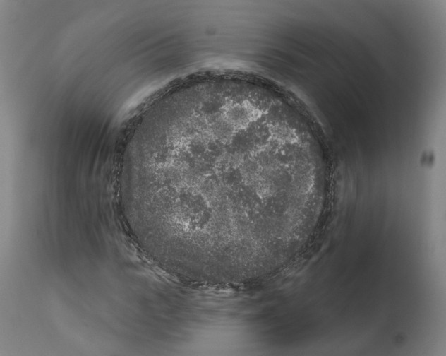 X0000112360919200909241122