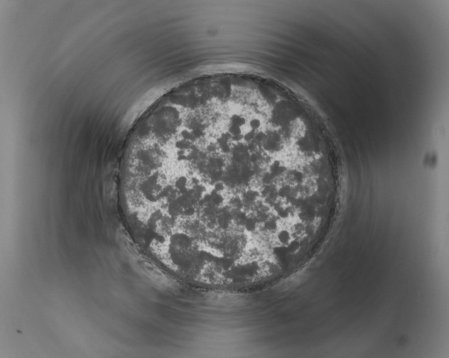 X0000112360921200909241122