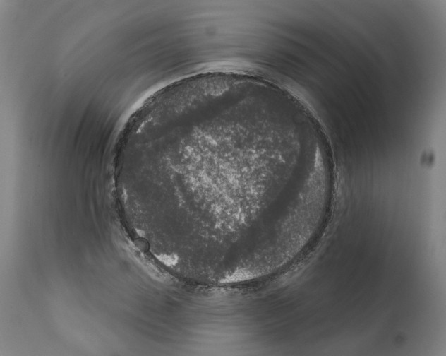 X0000112360923200909241122