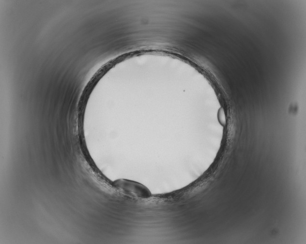 X0000112360924200909241122