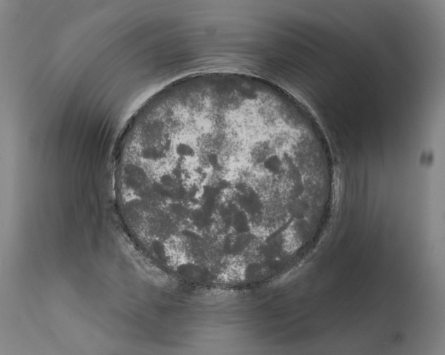 X0000112360925200909241122