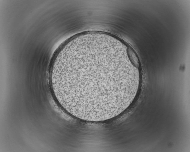 X0000112360928200909241122