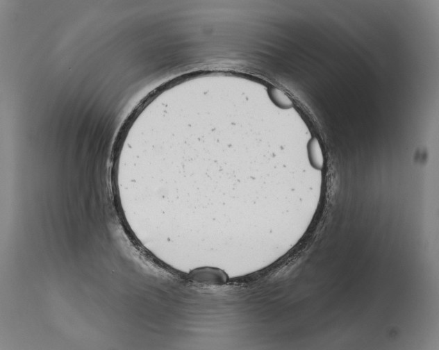 X0000112360932200909241122