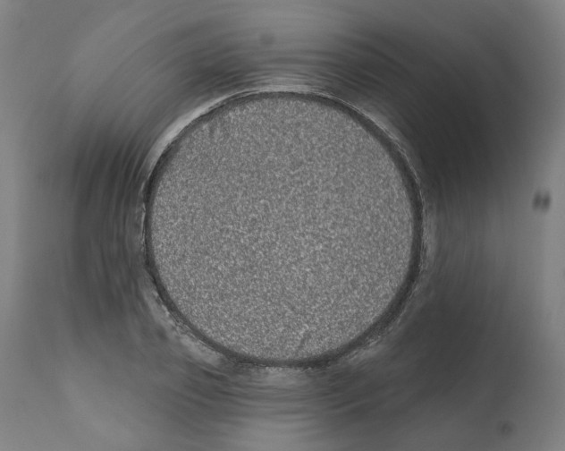 X0000112360933200909241122