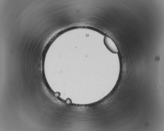 X0000112360934200909241122