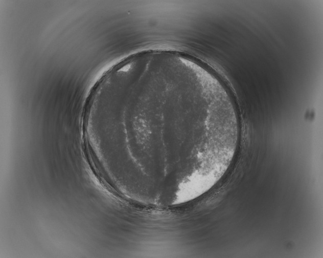 X0000112360935200909241122