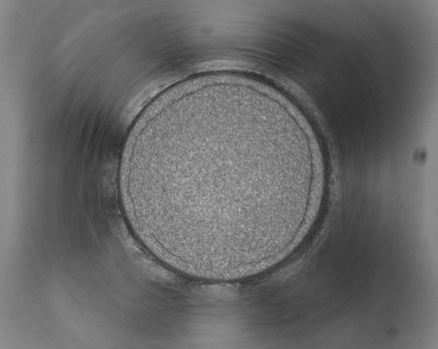 X0000112360937200909241122