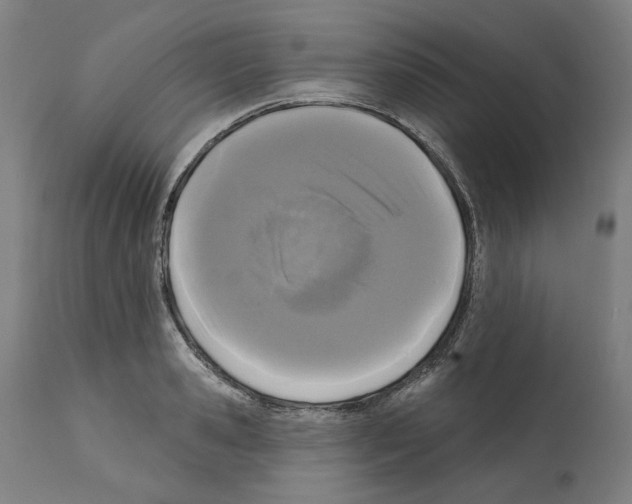 X0000112360941200909241122