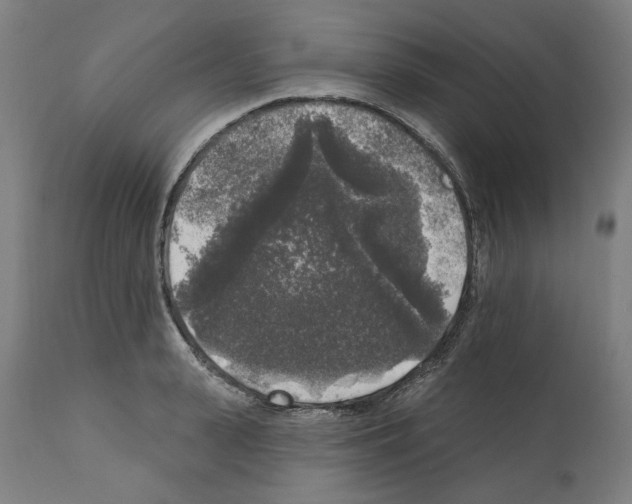 X0000112360943200909241122
