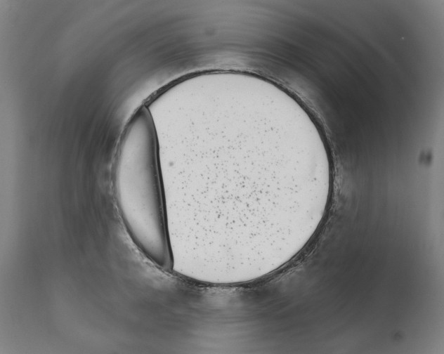 X0000112360944200909241122