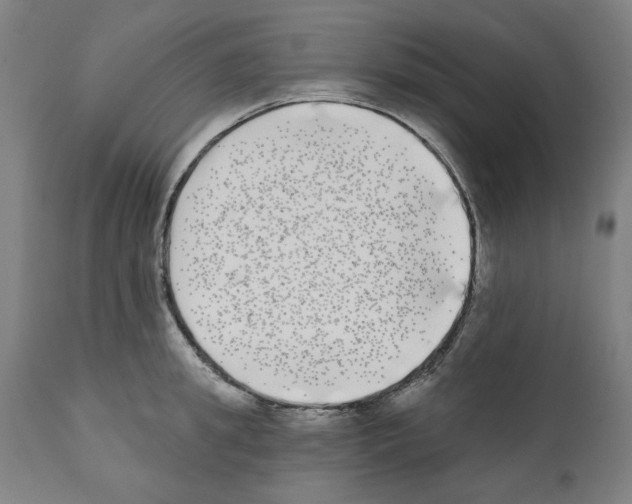 X0000112360949200909241123