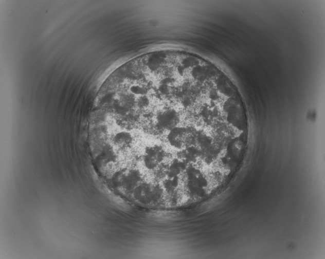 X0000112360953200909241123