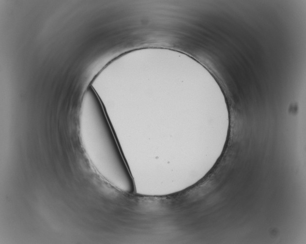 X0000112360956200909241123