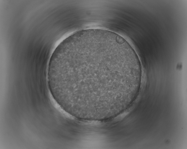 X0000112360957200909241123