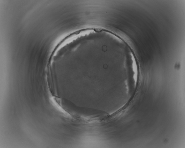 X0000112360958200909241123