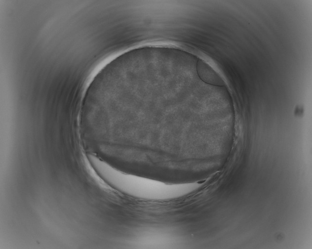 X0000112360959200909241123