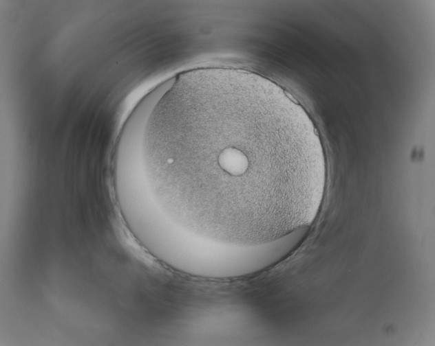 X0000112360960200909241123